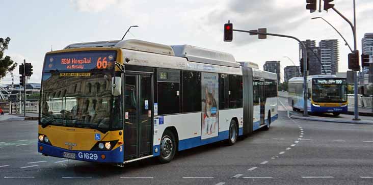 Brisbane Transport MAN NG313 Custom CB60 Evo II G1629